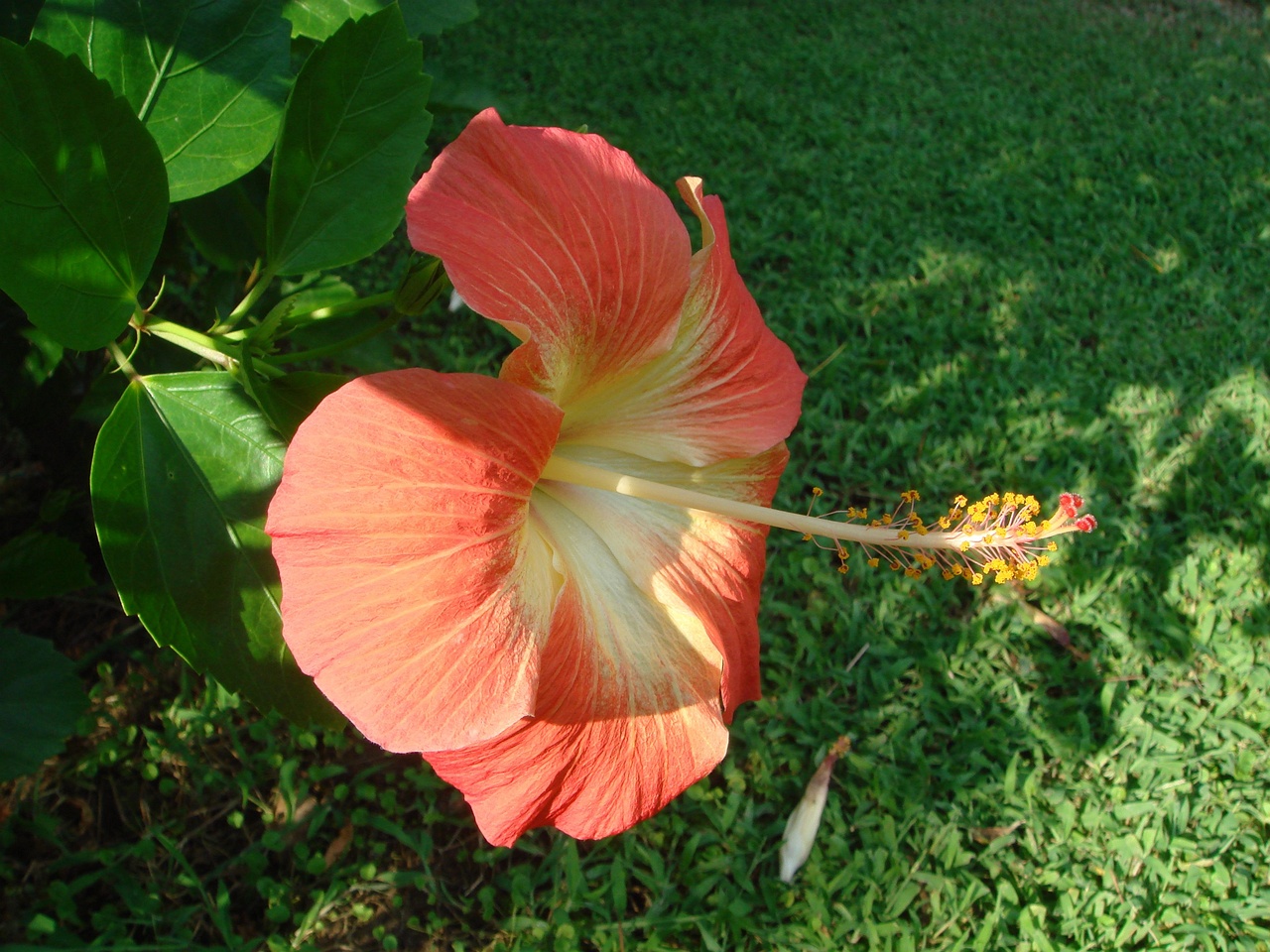 DSC03041