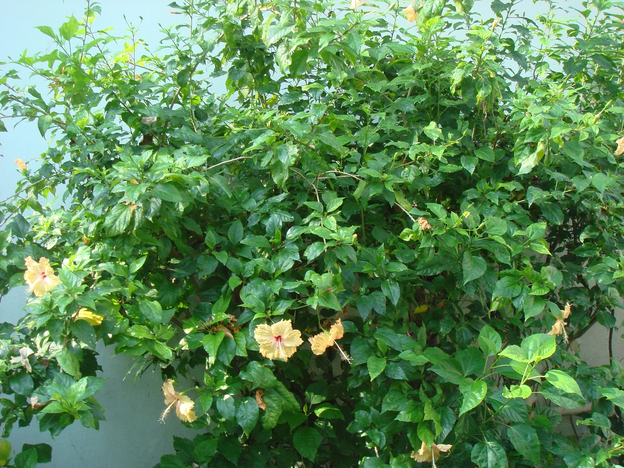 DSC05848
