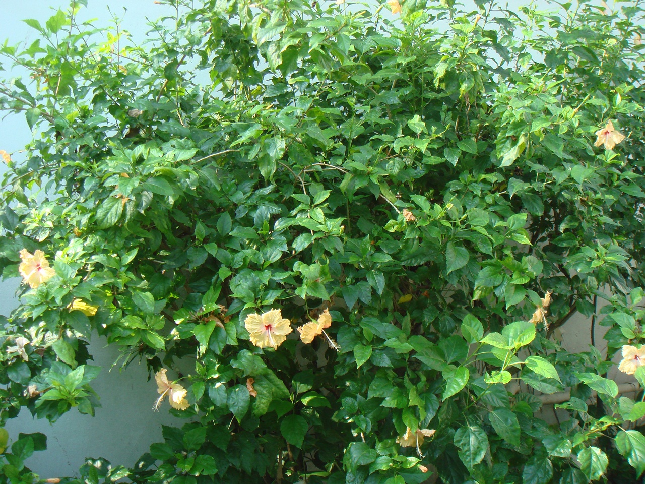 DSC05849