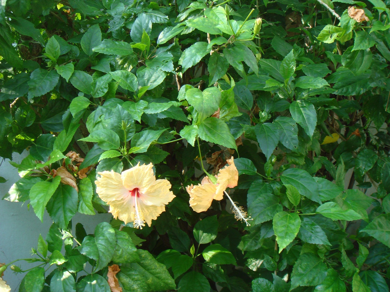 DSC05850