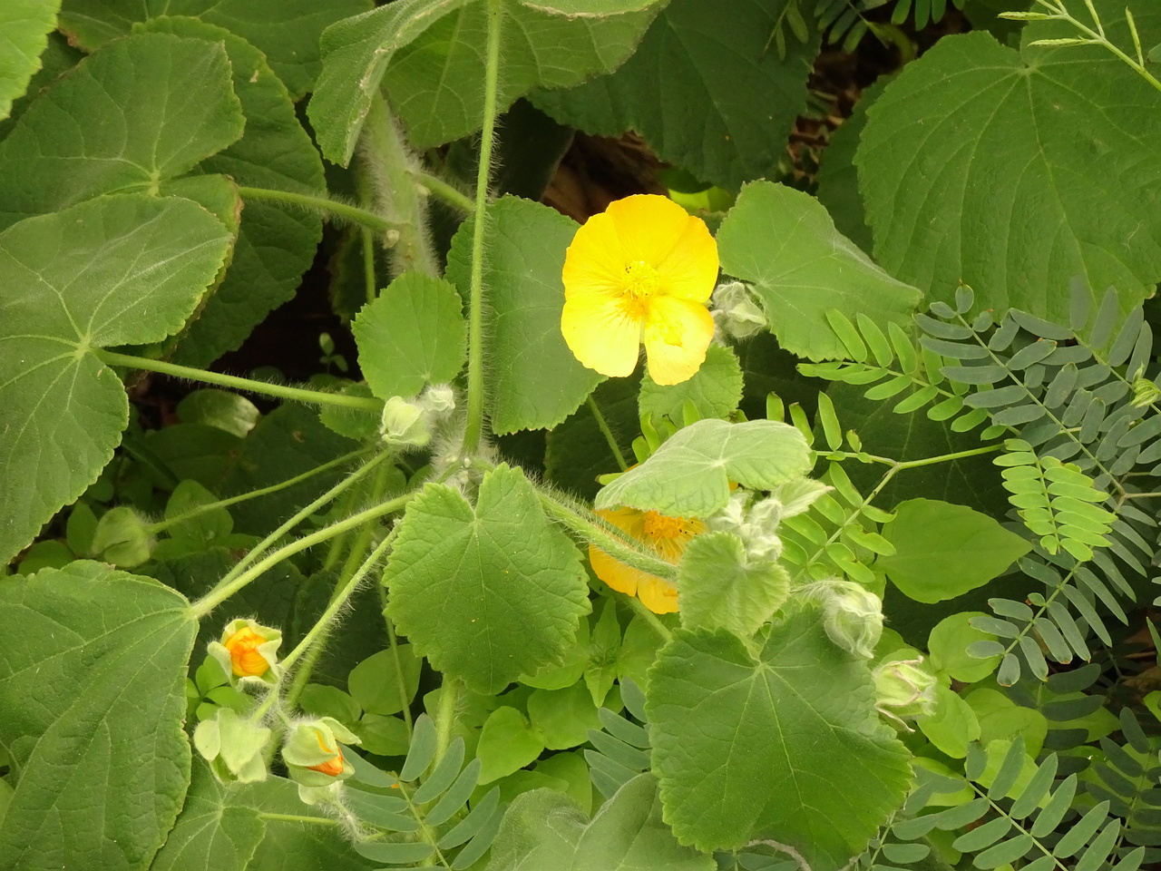 0DSC07970
