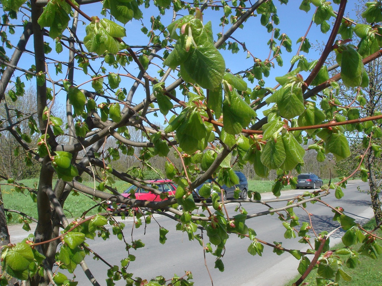 DSC00380