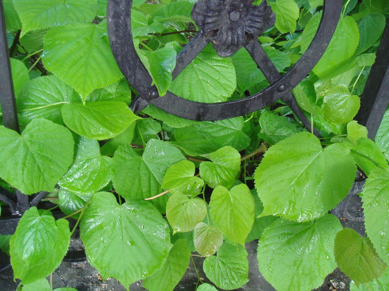 DSC02363