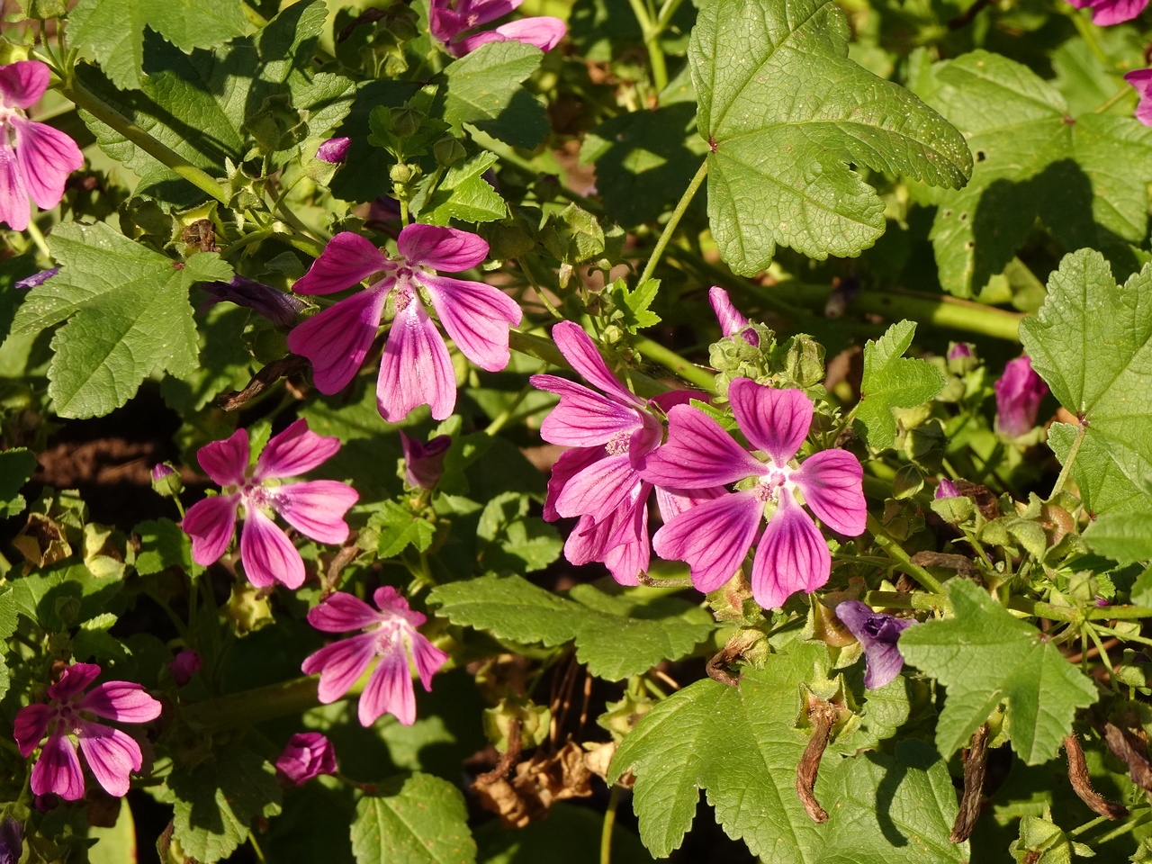 0DSC05541