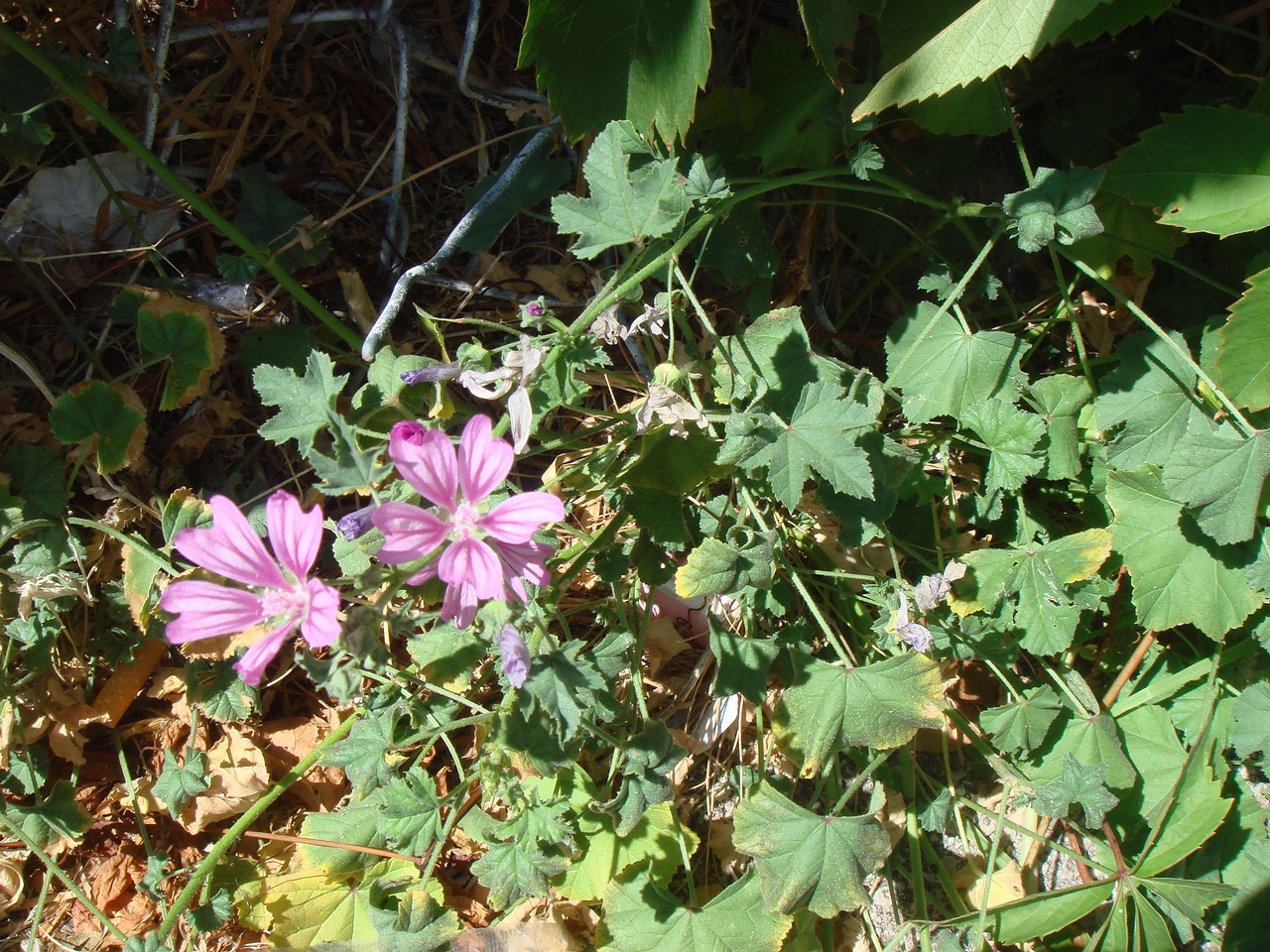 DSC03160
