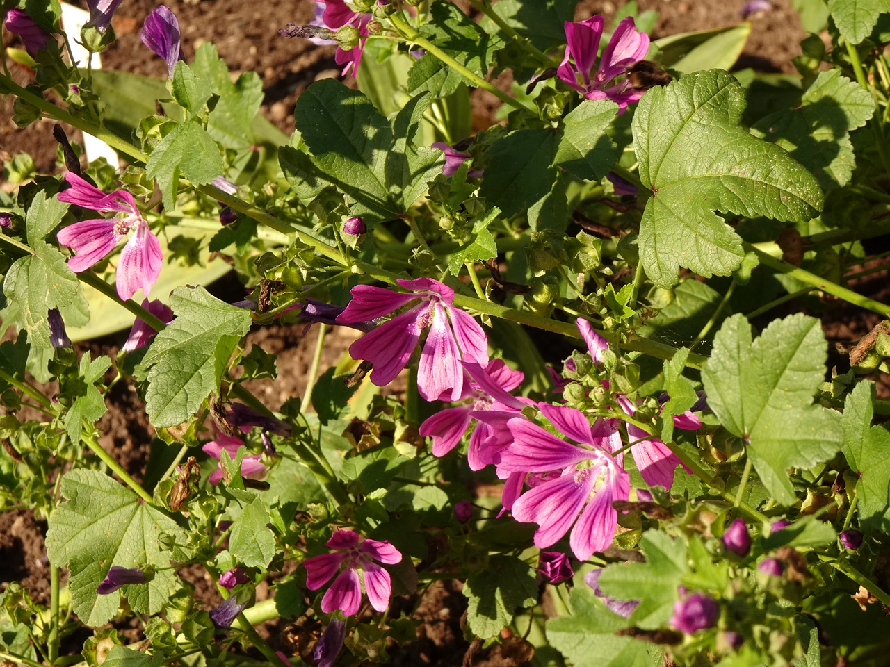 DSC05538