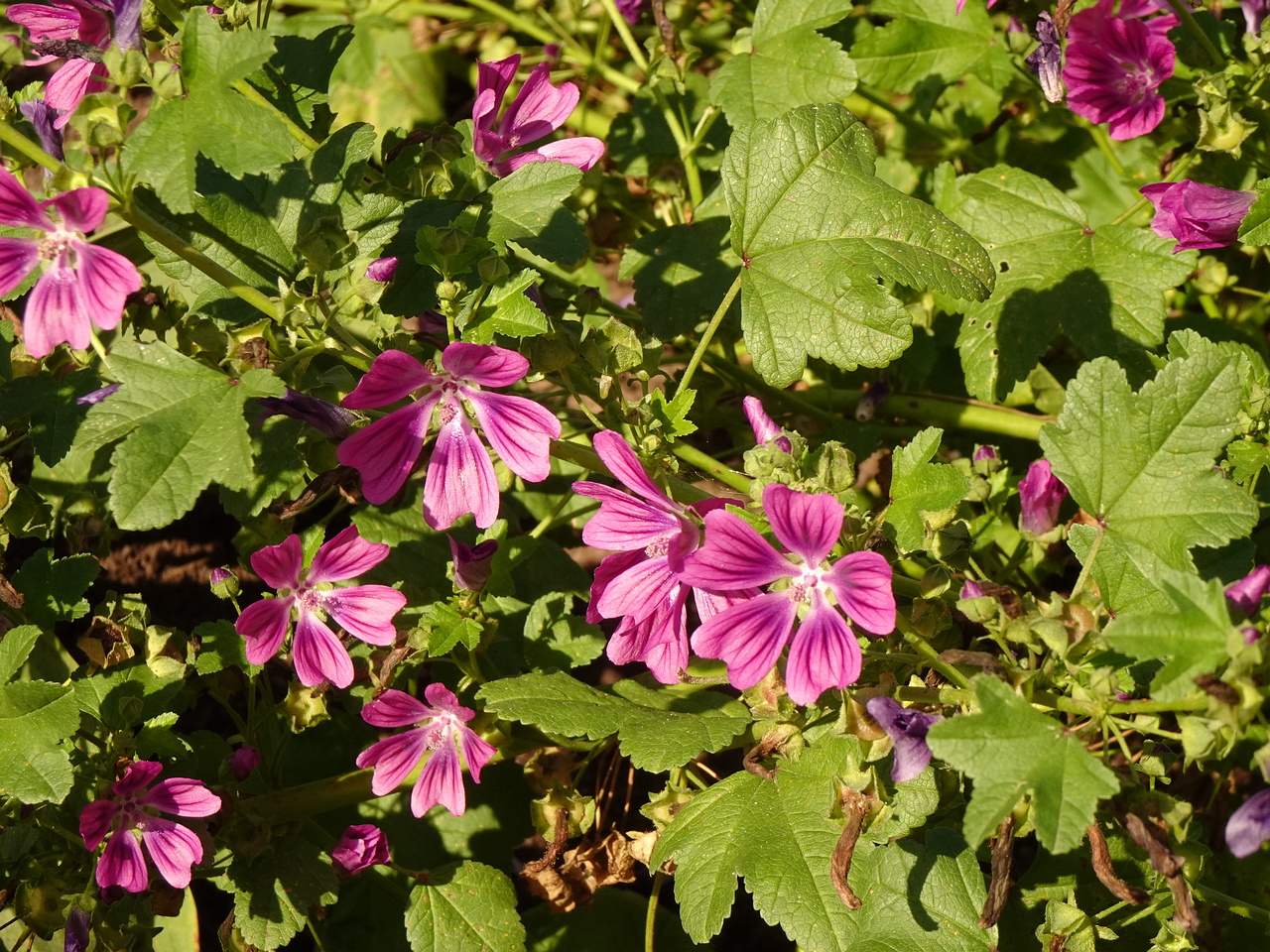 DSC05540