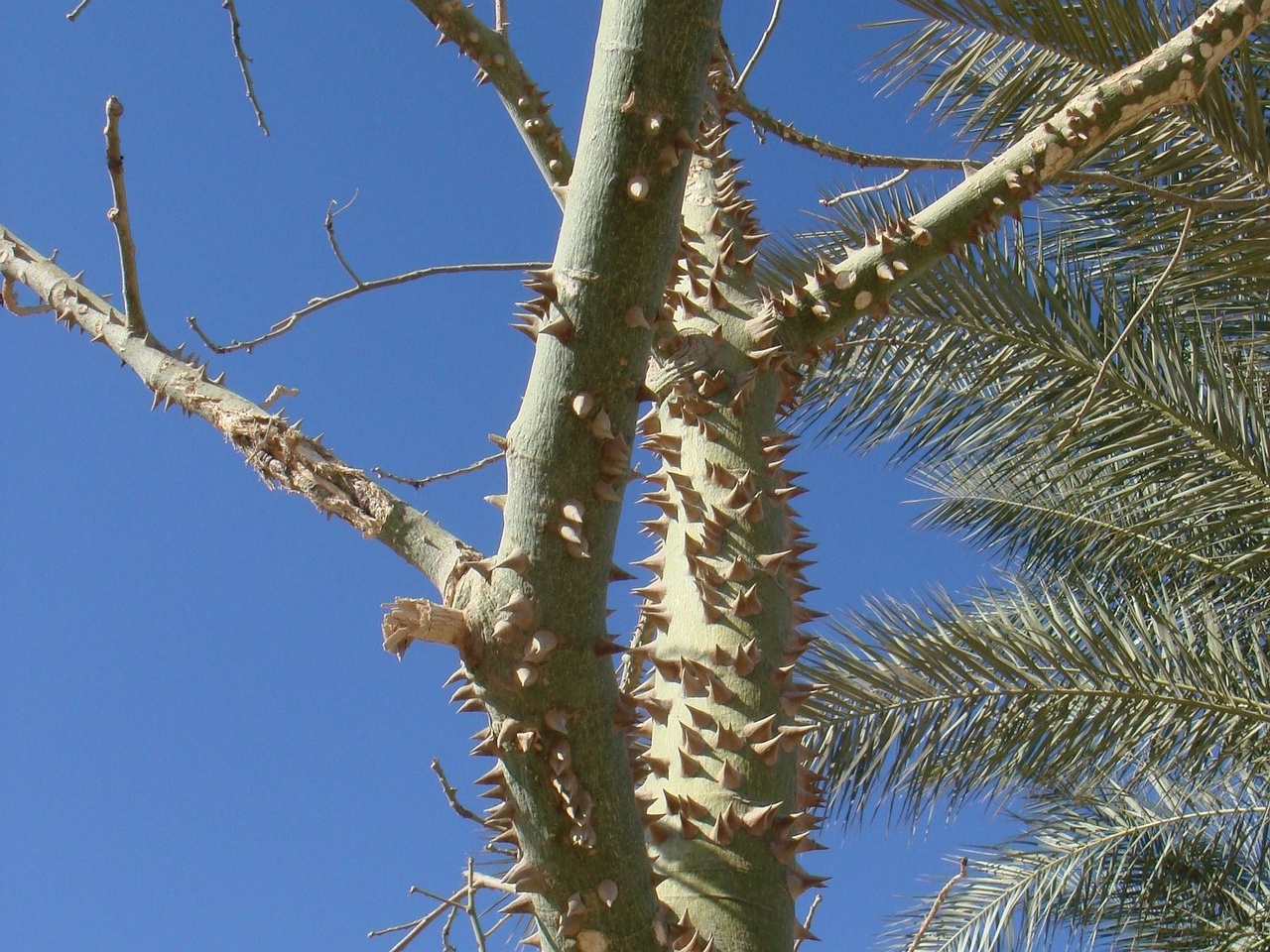 DSC00080