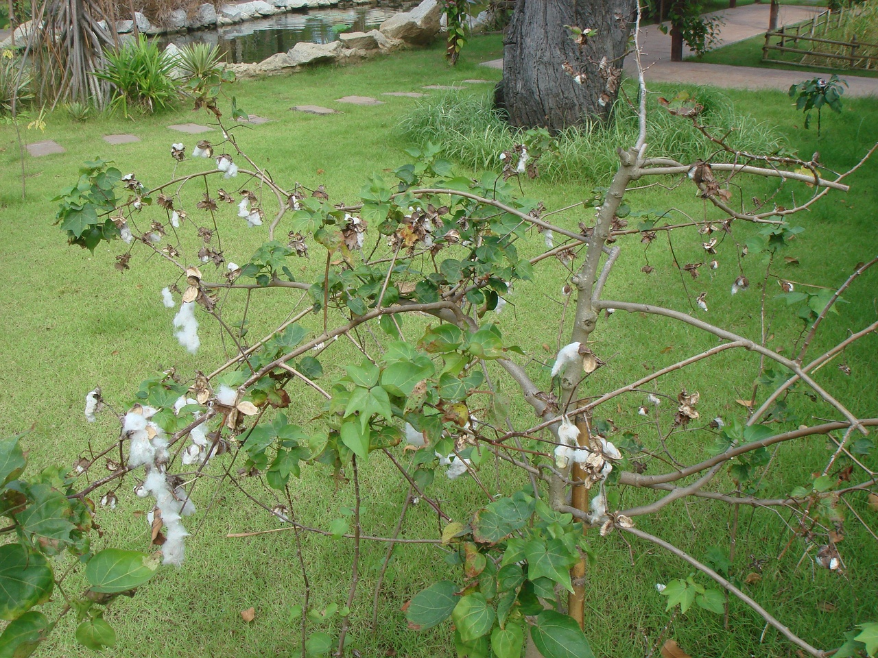 DSC05510
