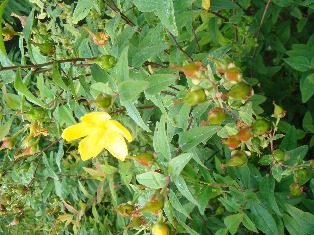 DSC09643