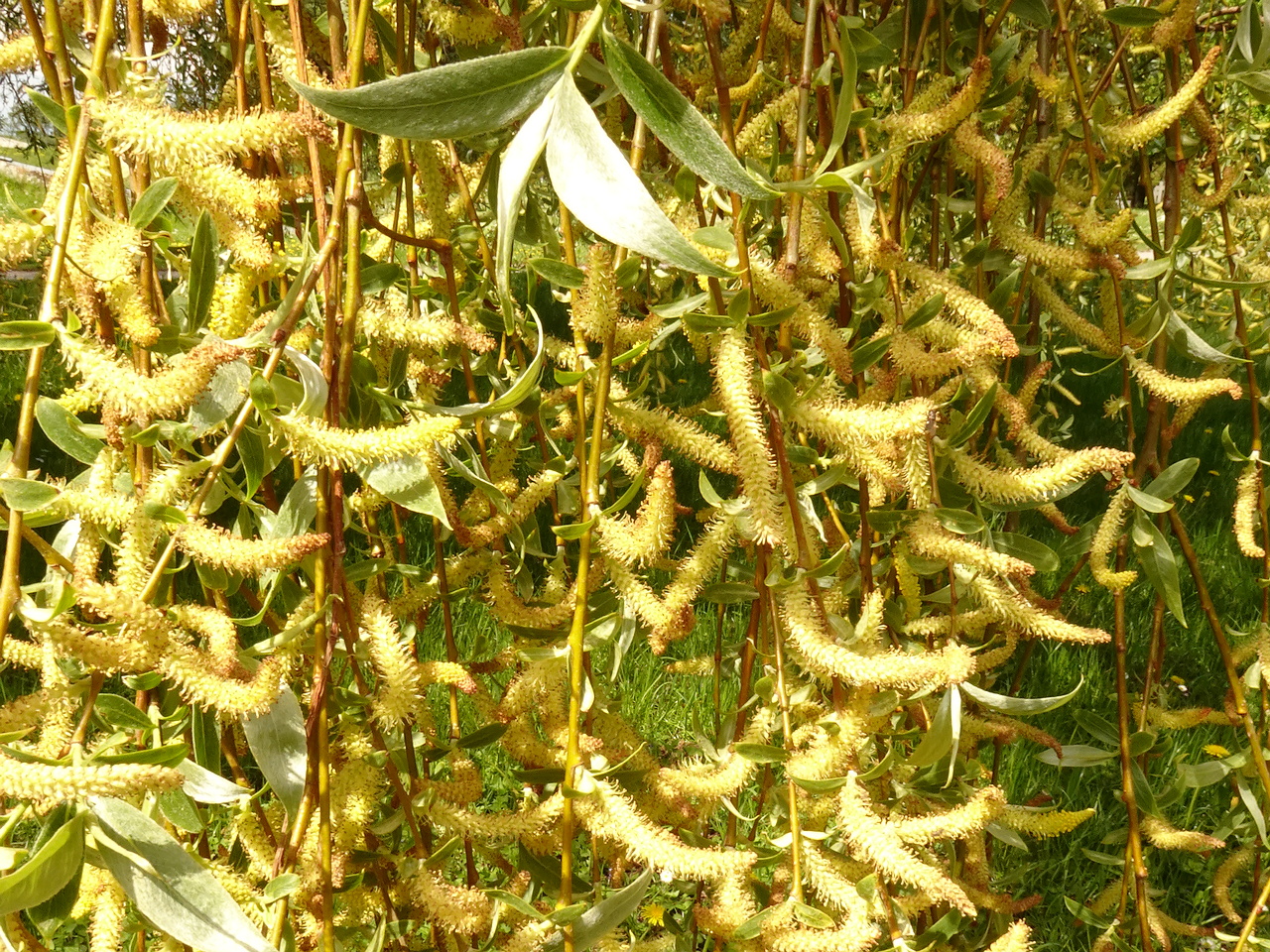 DSC03158