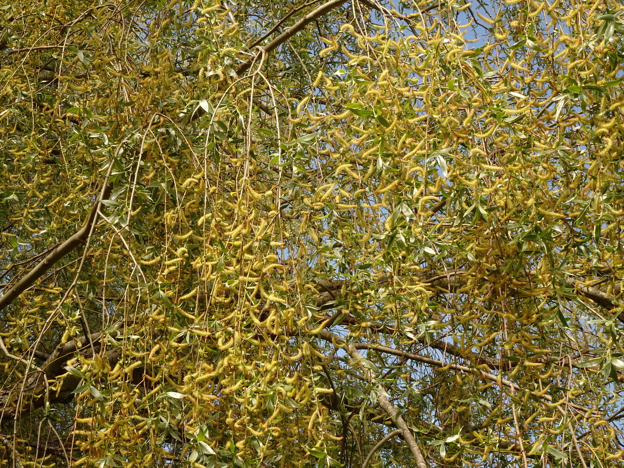 DSC03162