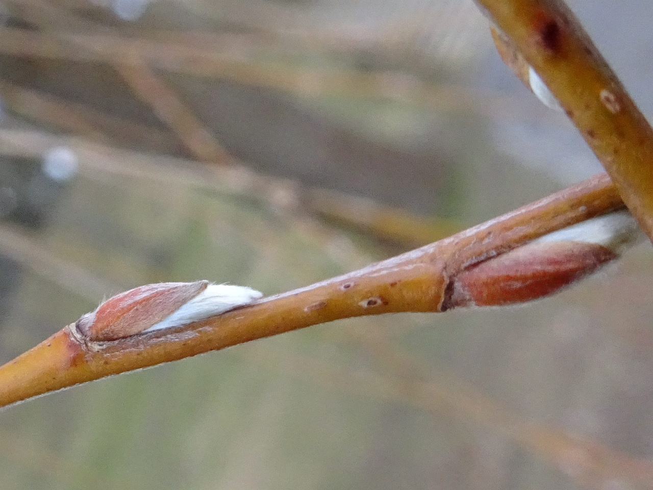 DSC05667_