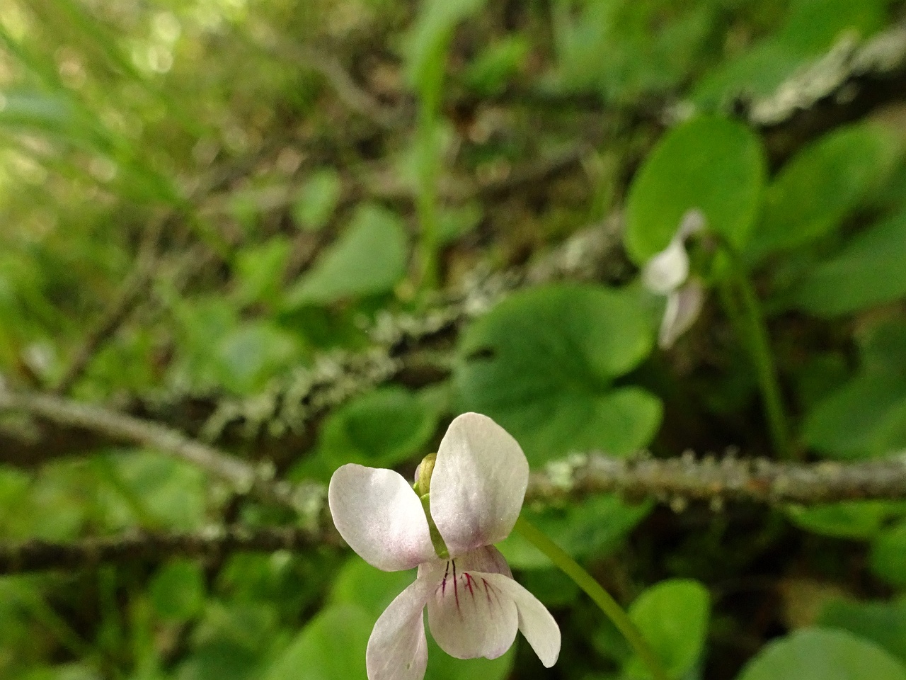 DSC08172