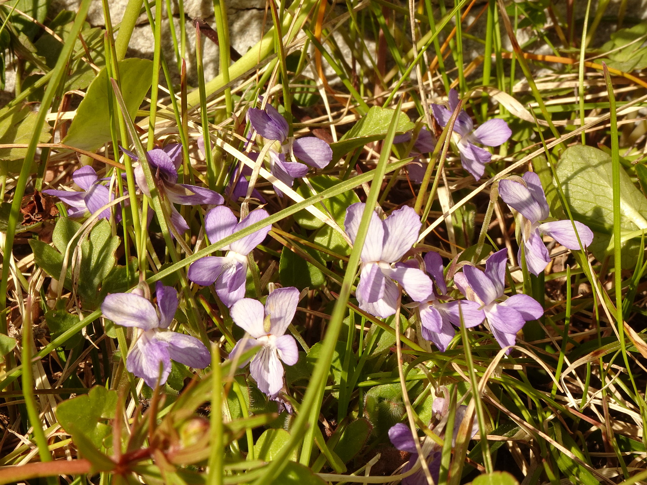 DSC00618