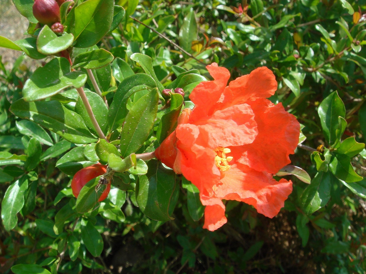 DSC02304