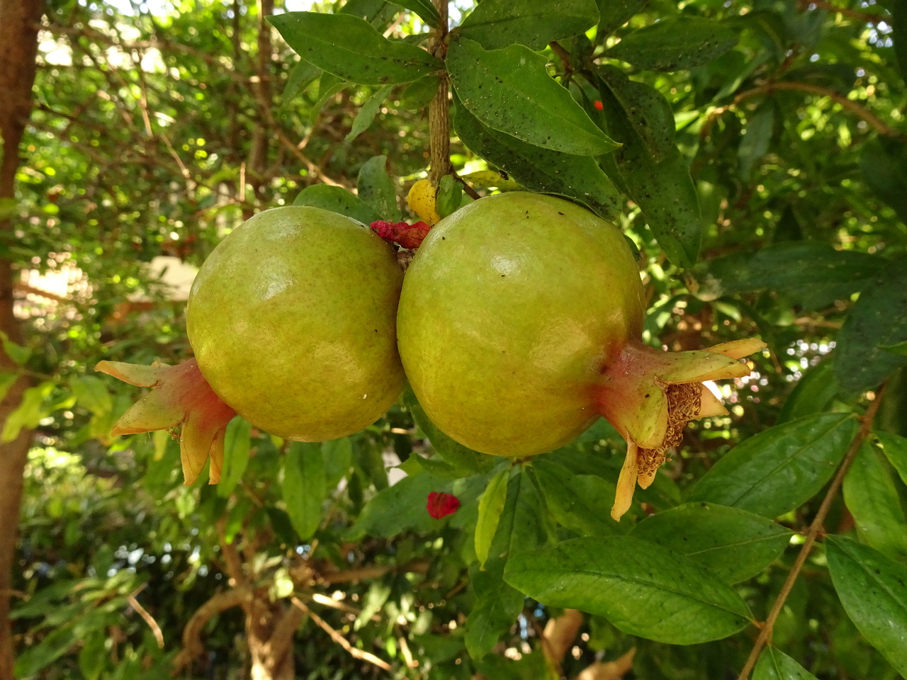 DSC03367