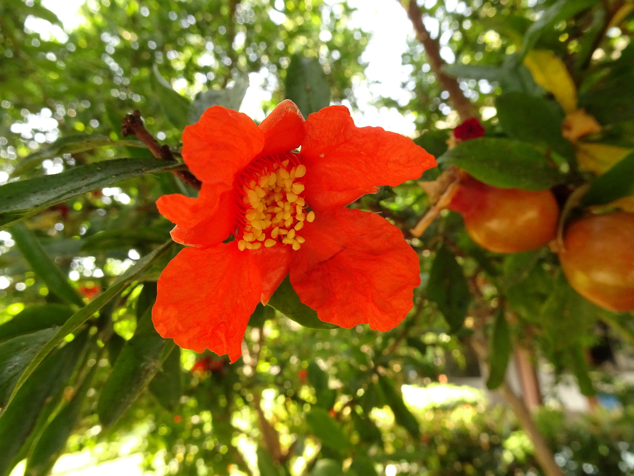 DSC03370