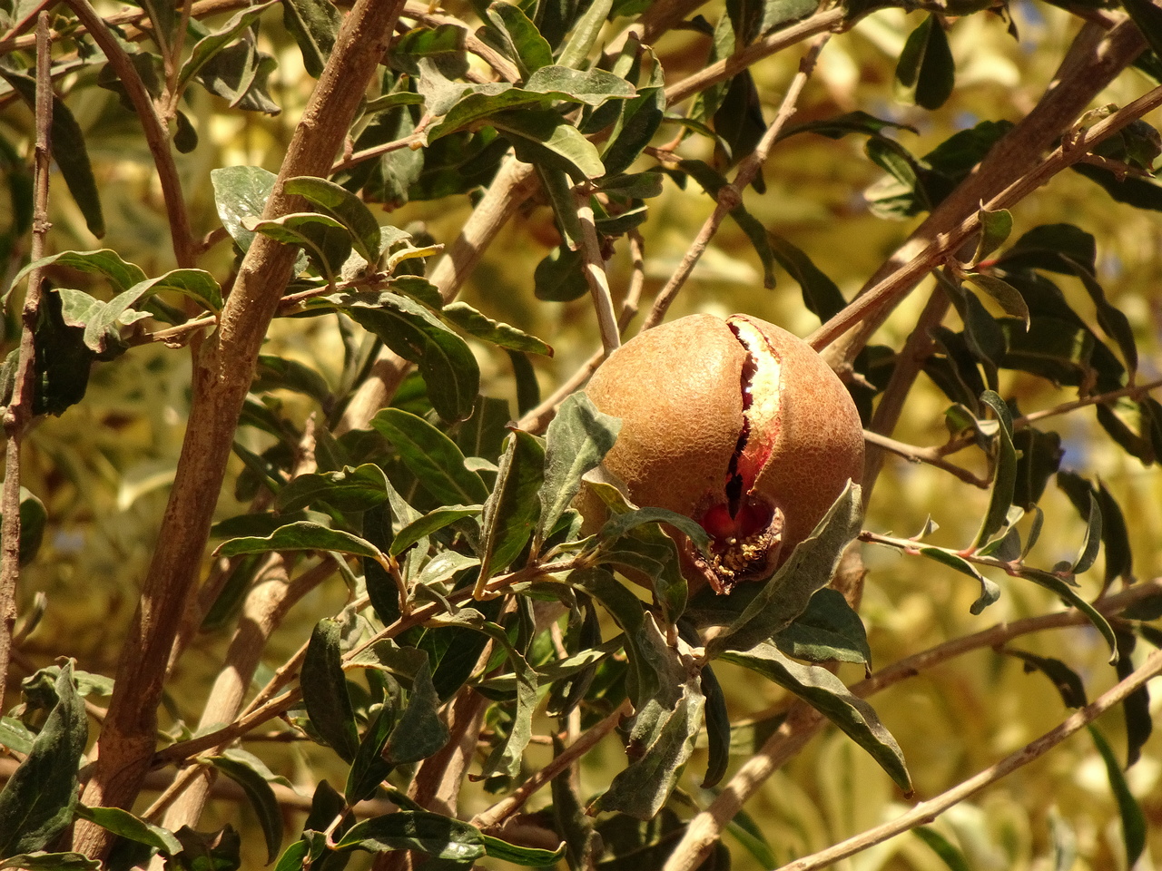 DSC05190
