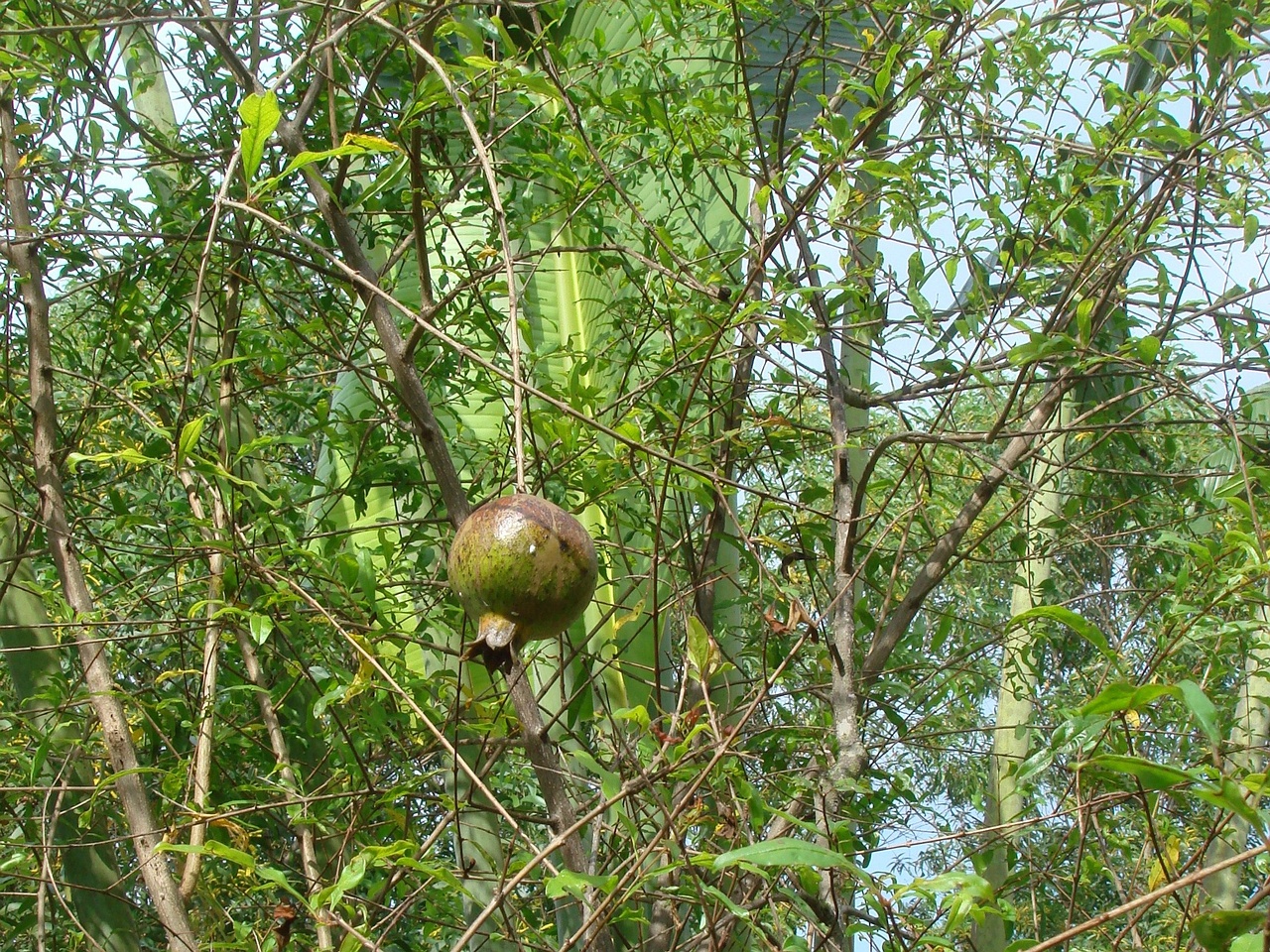 DSC05584