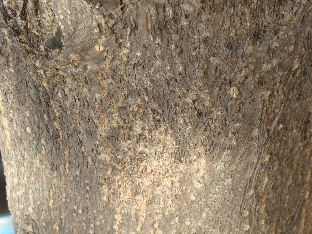 DSC05870
