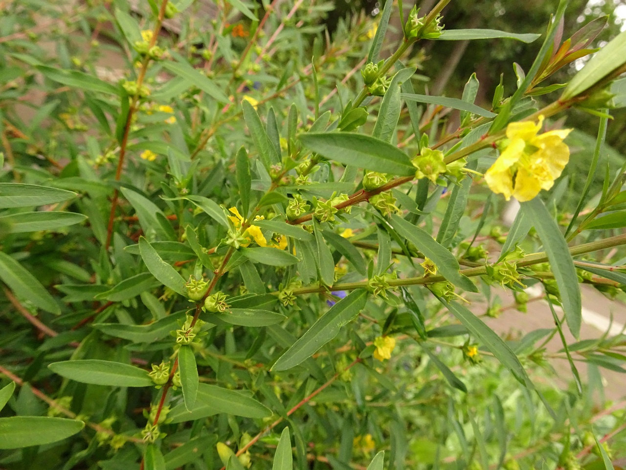 DSC05068