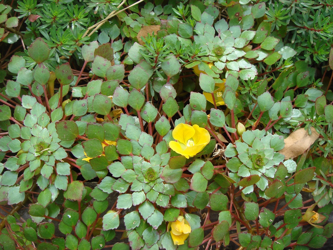 DSC05433