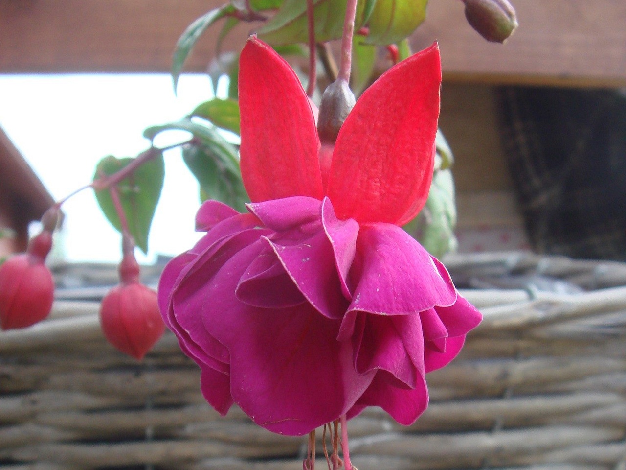 DSC01946