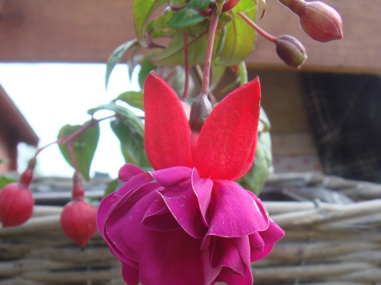 DSC01947