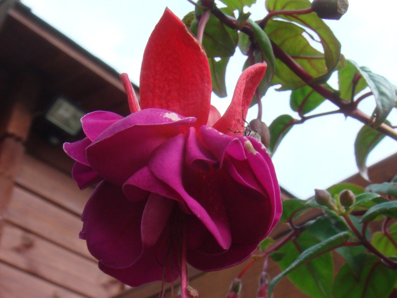 DSC01949