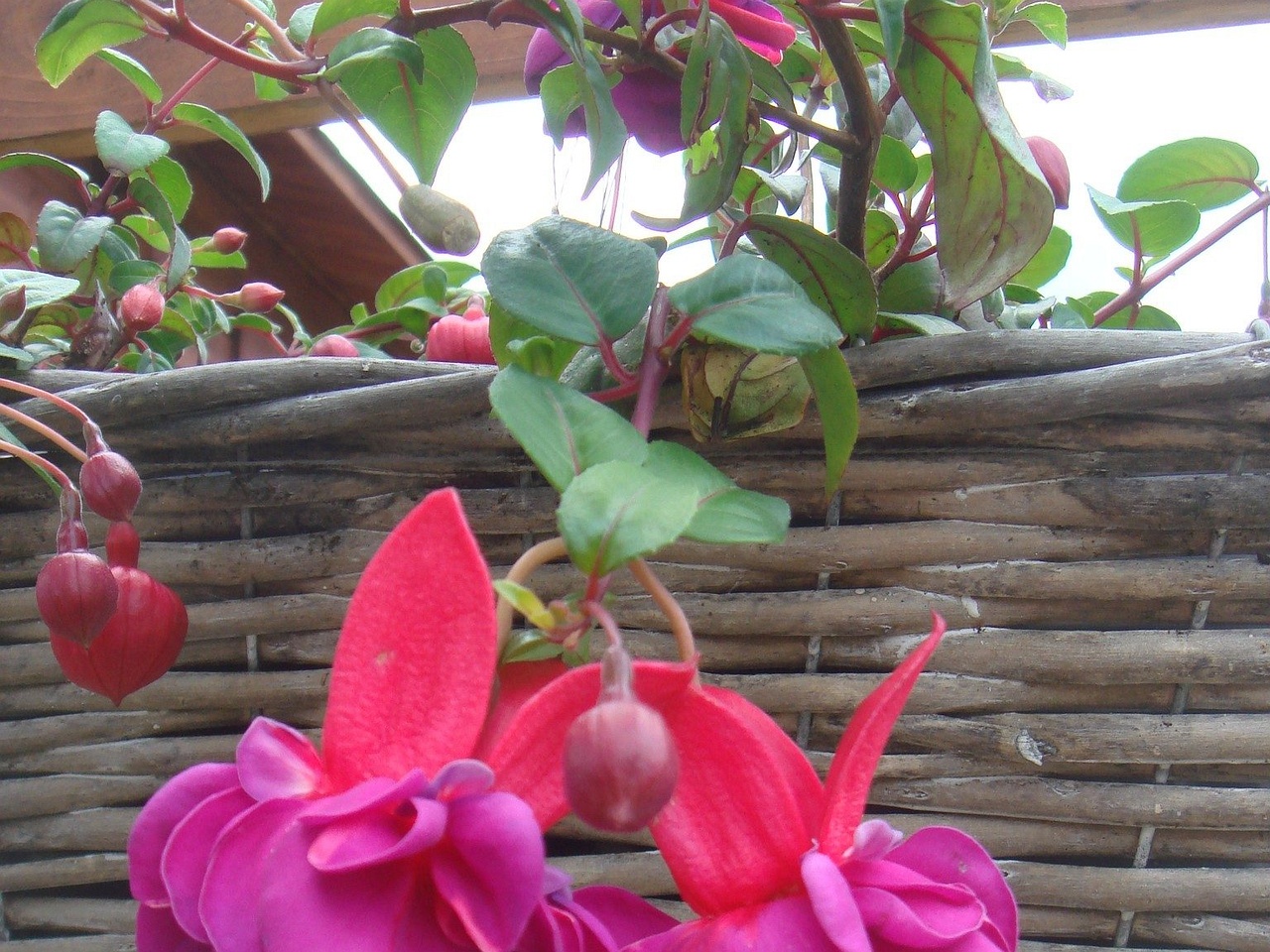 DSC03459