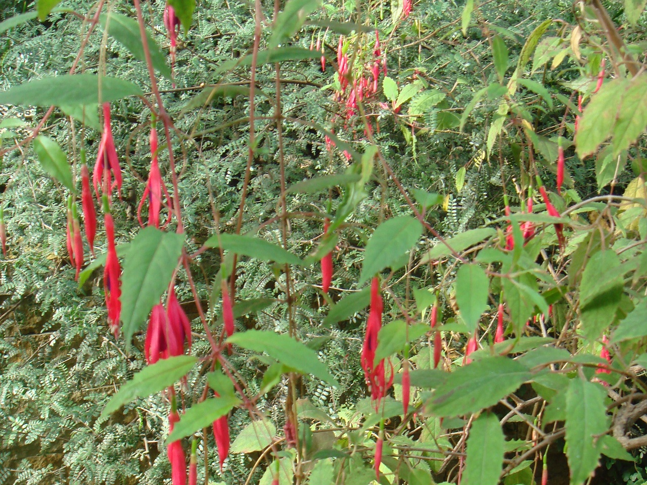 DSC00047