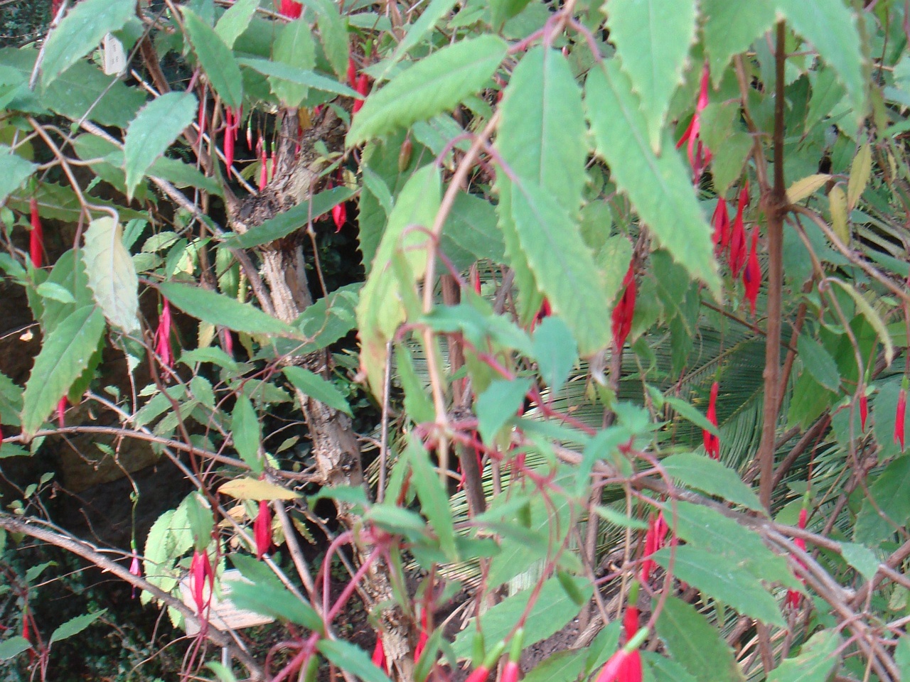 DSC00050