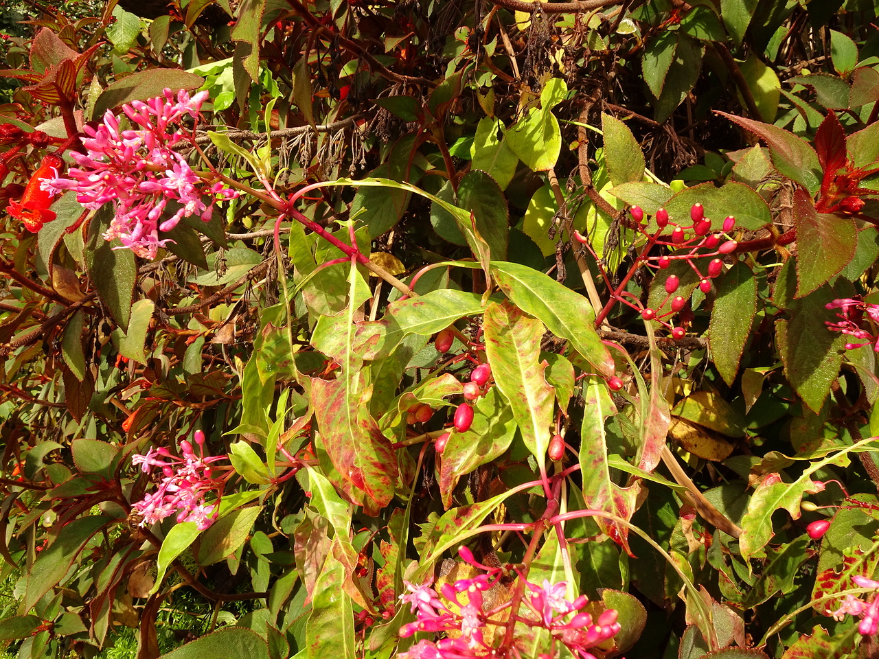 DSC07640