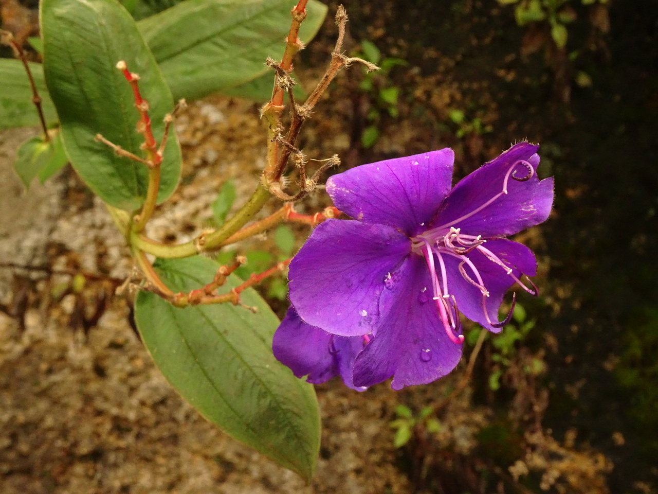 DSC07660