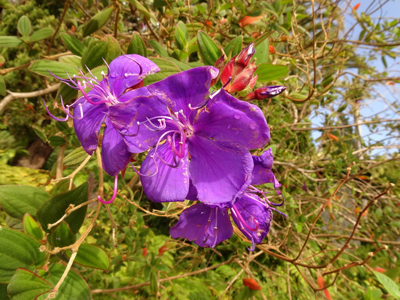 DSC07676