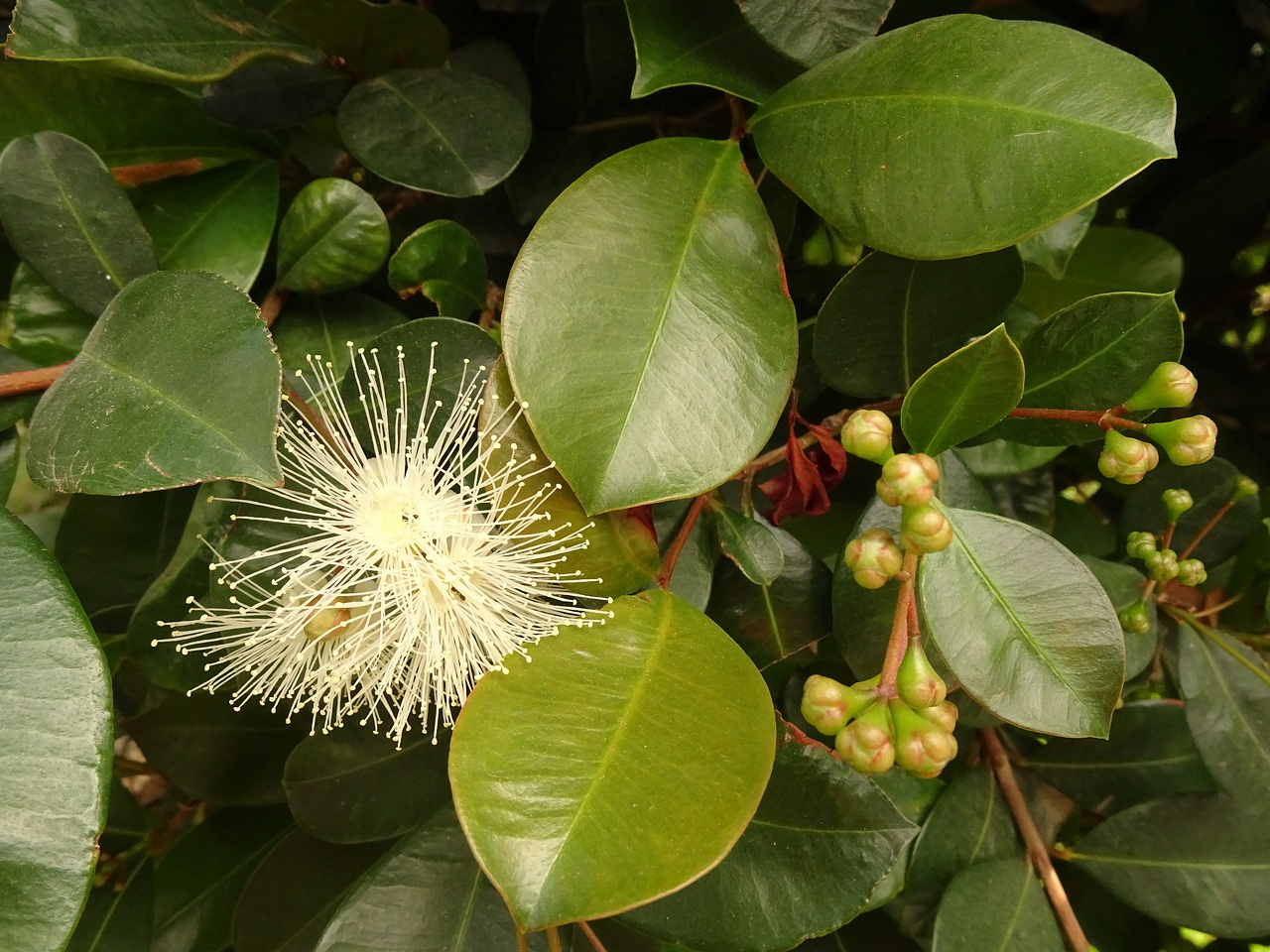 DSC03557
