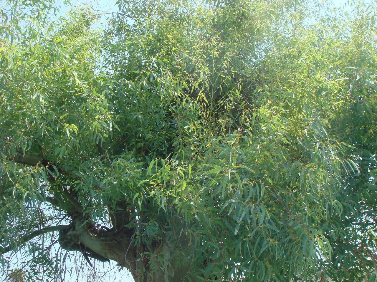 DSC02321