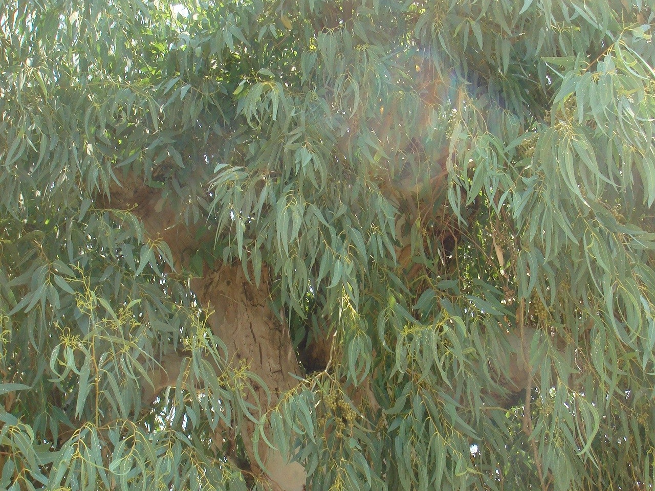 DSC02366