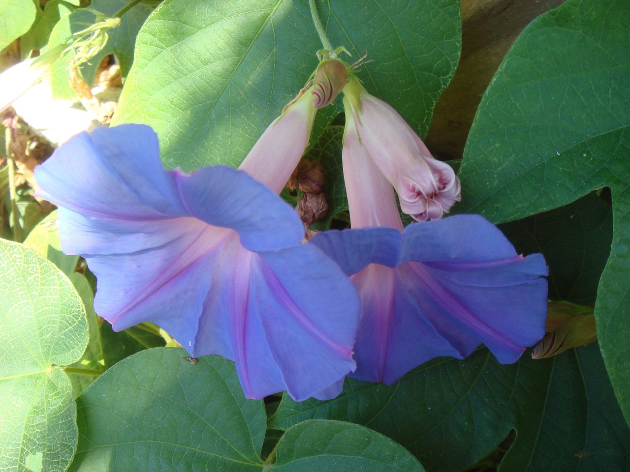 DSC02540