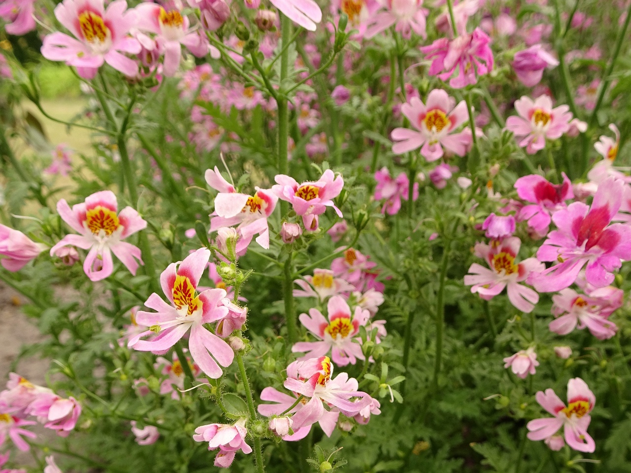 DSC04590