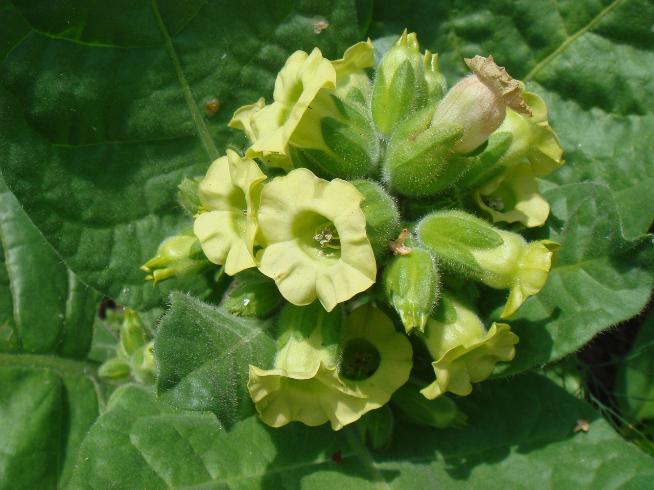 DSC00840