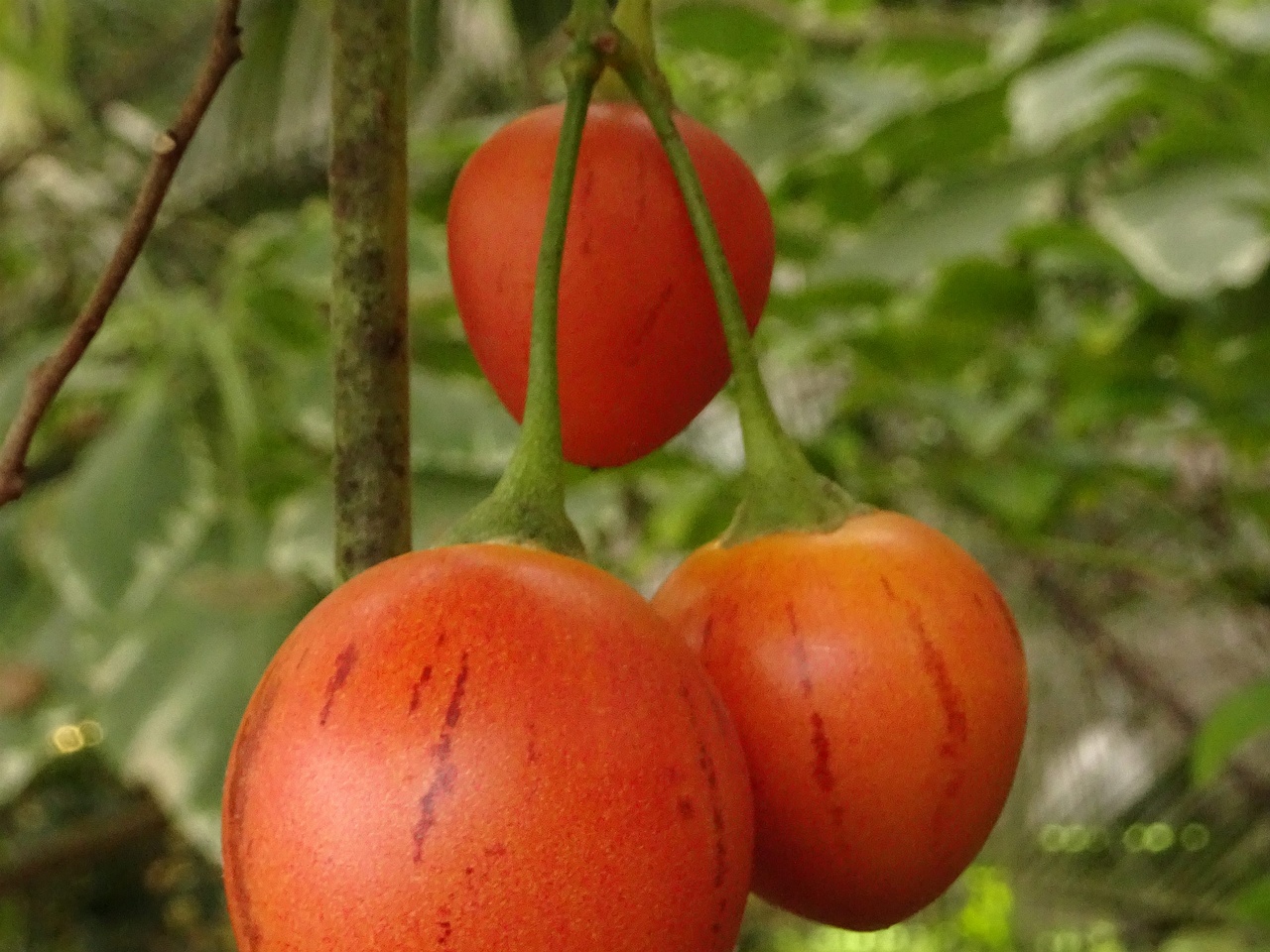 0DSC01609