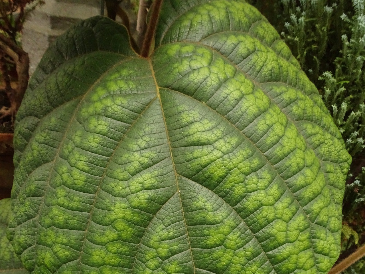 DSC01545