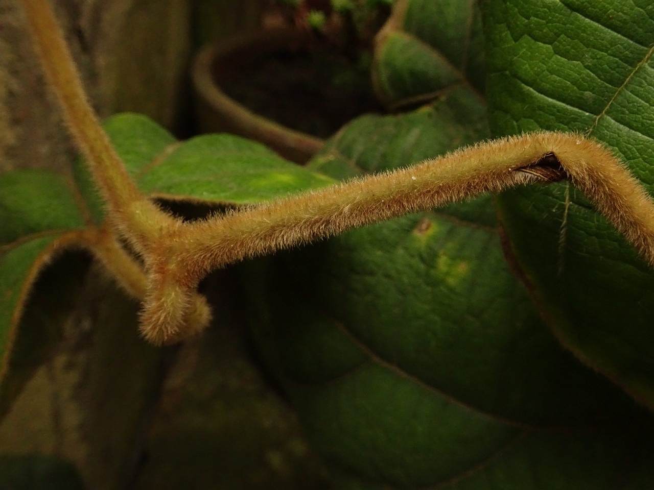 DSC01548