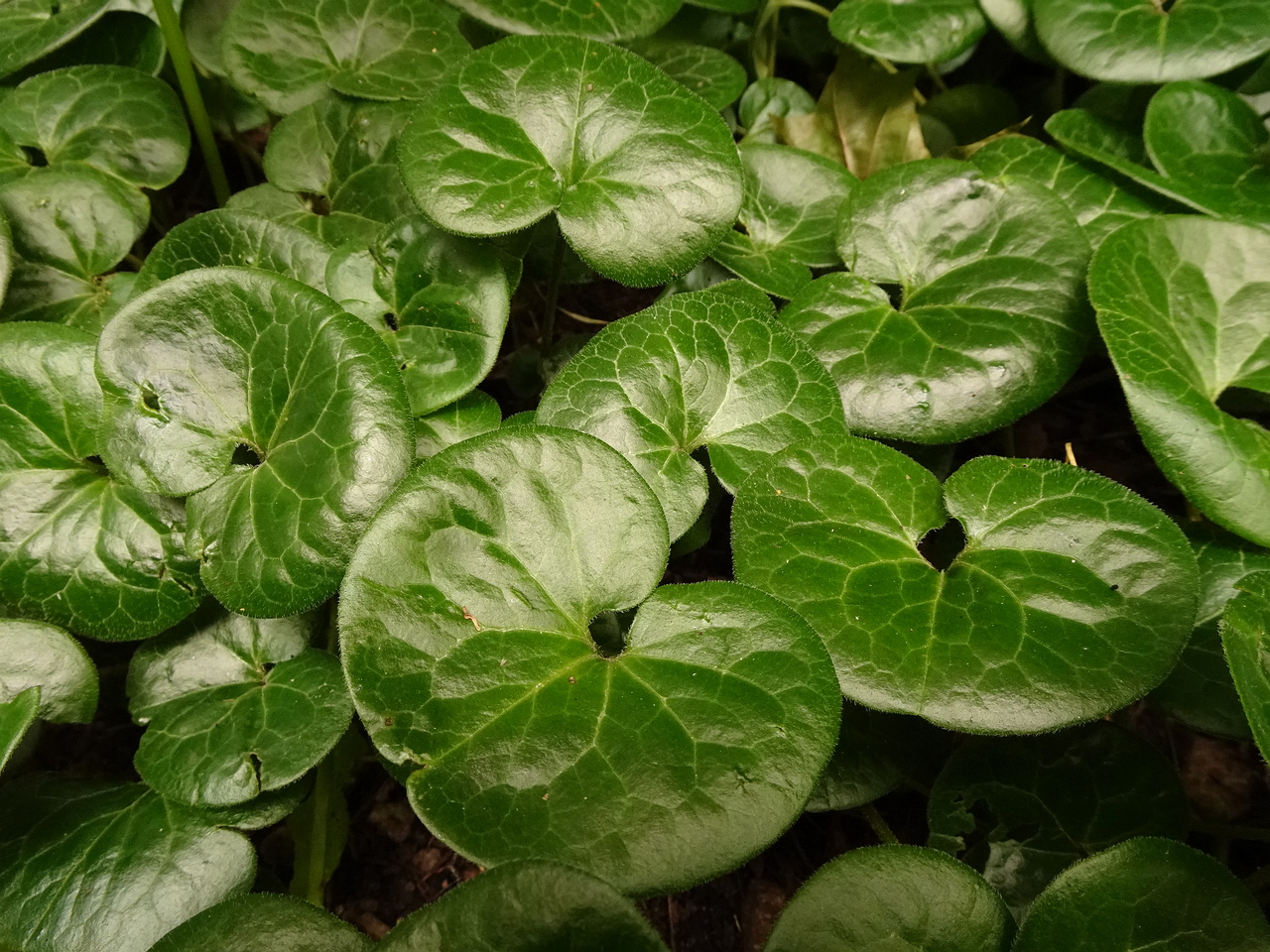DSC04428