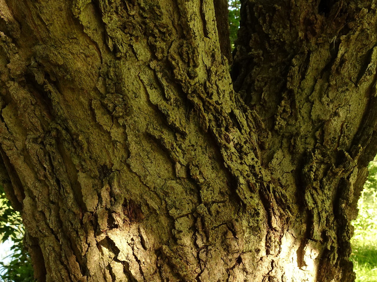 DSC05560