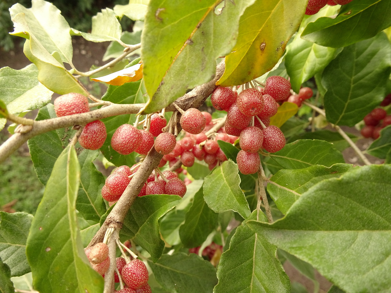 0DSC06127