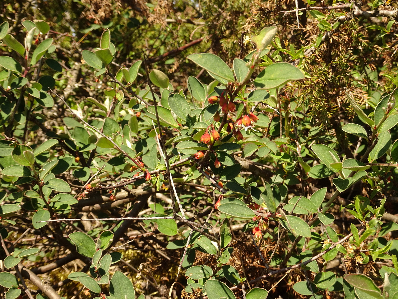 DSC07696