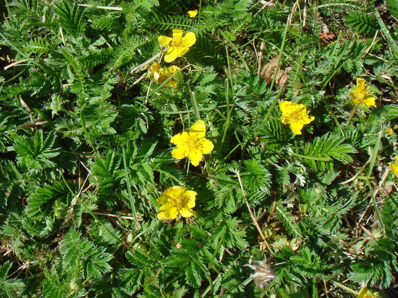 DSC01006